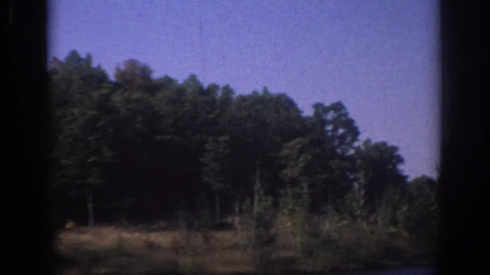 1966 Sacramento-area 8mm frame showing grasses, shrubs, dense trees, and a sliver of water at the edge.