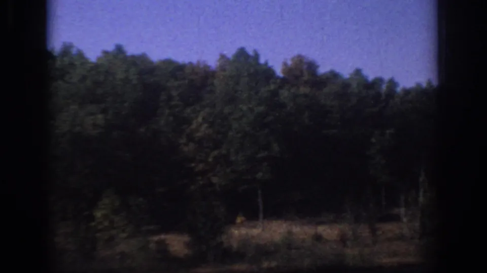 1966 Sacramento-area 8mm frame with shaded trees, dry grasses, dark foreground, and visible home-movie grain.