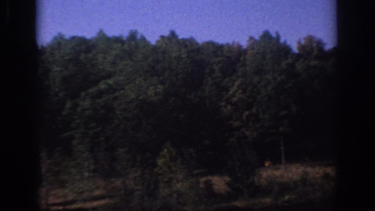 1966 Sacramento-area 8mm frame showing a wooded hillside beneath blue sky, bordered by dark film gate edges.