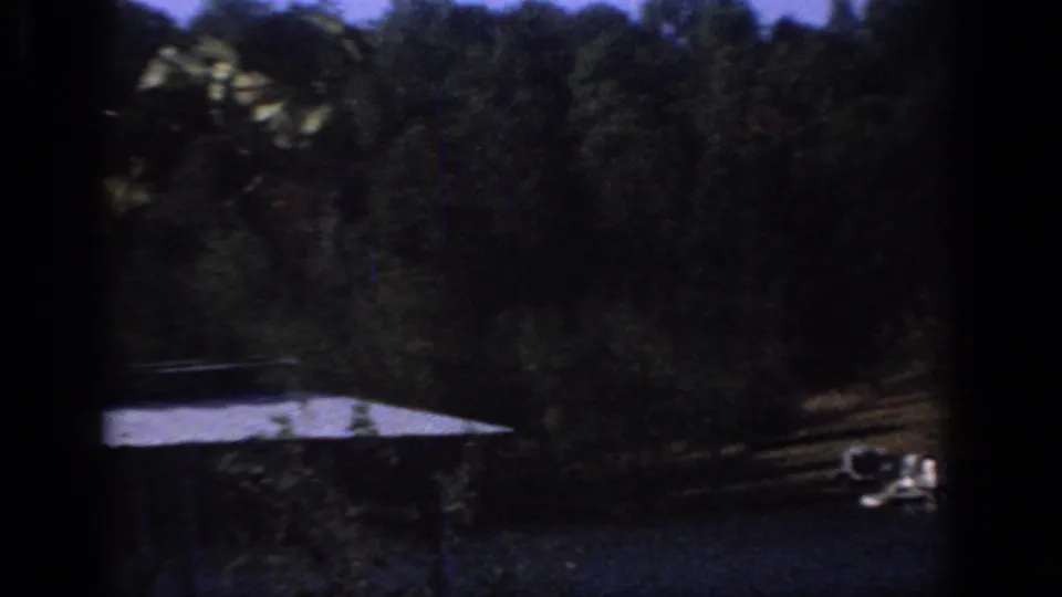 Mid-1960s 8mm view of a covered dock or boathouse roof below dense trees at a Sacramento-area lake.