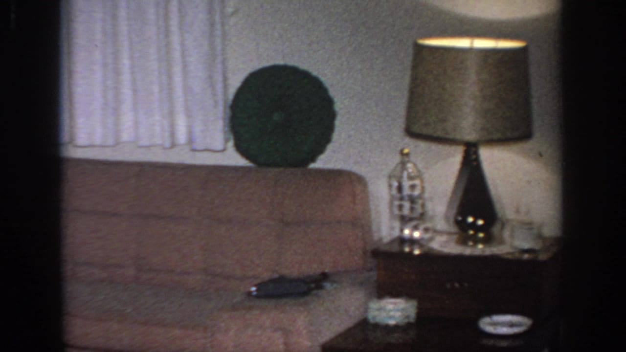 1966 Sacramento living room detail with a brown sofa, side table, lamp, curtains, ashtray, and decorative objects.