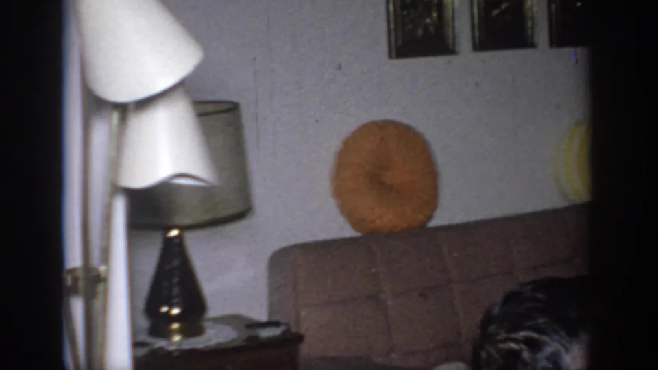 1966 Sacramento home interior showing floor and table lamps, sofa, orange pillow, side table, doorway edge, and partial adult head.