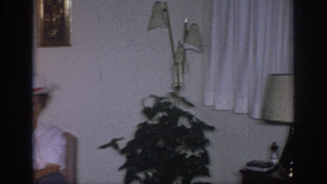 Living room view with a seated person partly obscured, potted plant, wall lamps, curtains, and table lamp.
