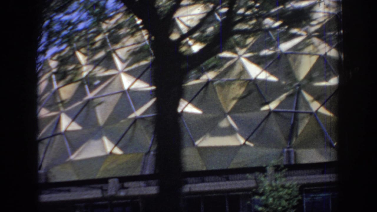 The dome-like patterned facade appears between dark window or vehicle-frame bars, with tree branches and sky overhead.