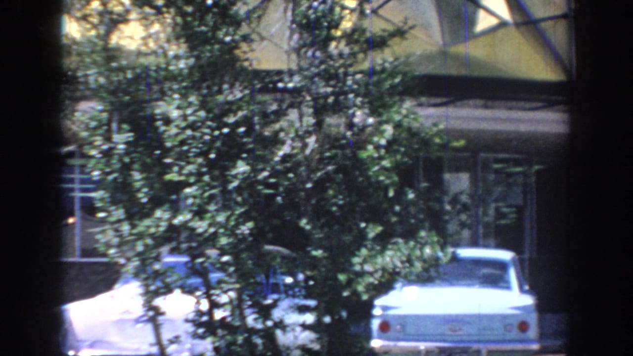 Trees partially block a white car and building windows beneath a geometric canopy.