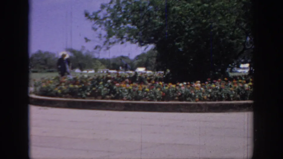 1967 Oklahoma home-movie frame showing a broad flower bed, a hat-wearing person behind it, and leafy trees in bright daylight.