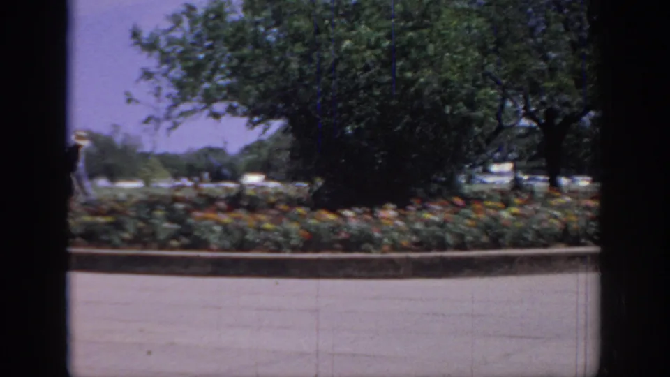 Final 1967 Oklahoma 8mm frame with a distant person near a large tree, colorful flowers across the foreground, and parked cars beyond.
