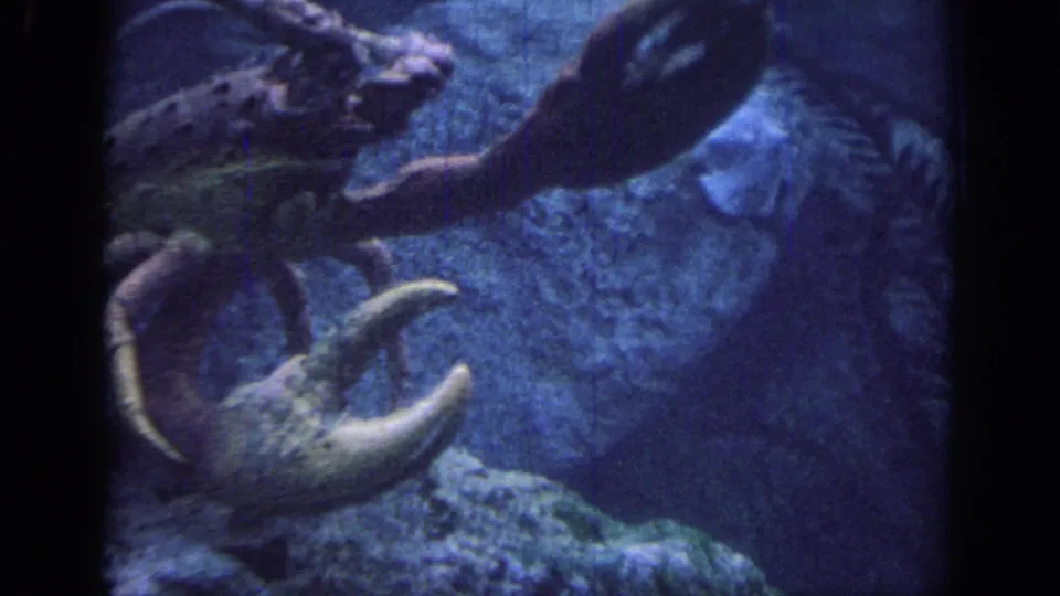 1967 Oklahoma 8mm frame of a large lobster-like crustacean moving across a blue aquarium tank with claws and antennae visible.