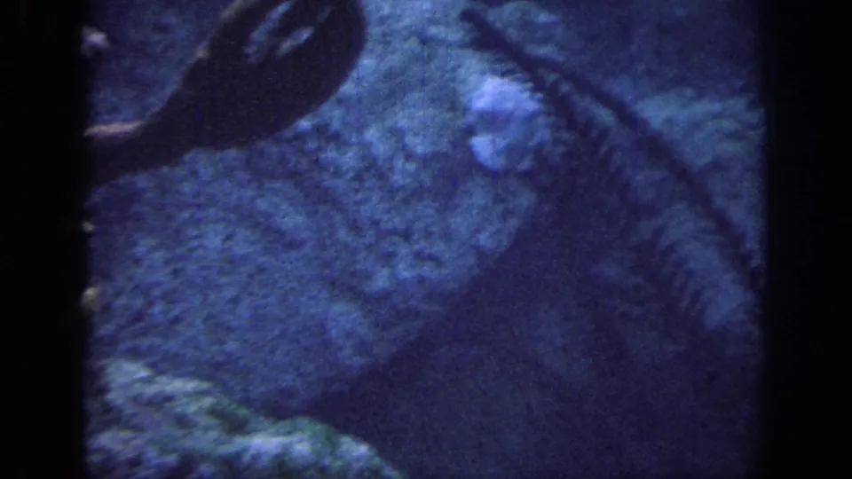 1967 Oklahoma 8mm aquarium frame showing part of a large crustacean against blue water, rock texture, and plant-like tank details.