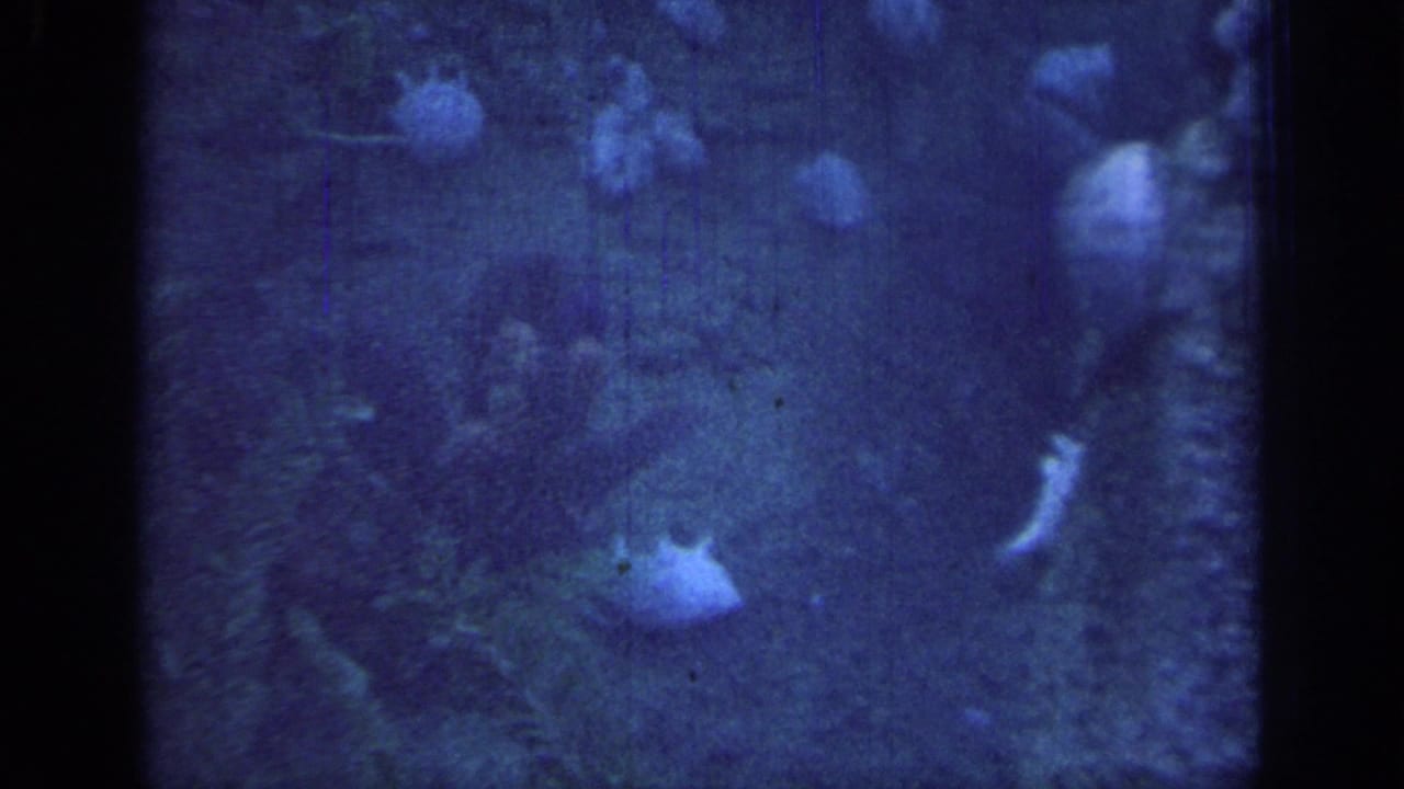 1967 8mm frame showing a dim blue underwater scene with small fish, rocky texture, and dark viewing-window bars.