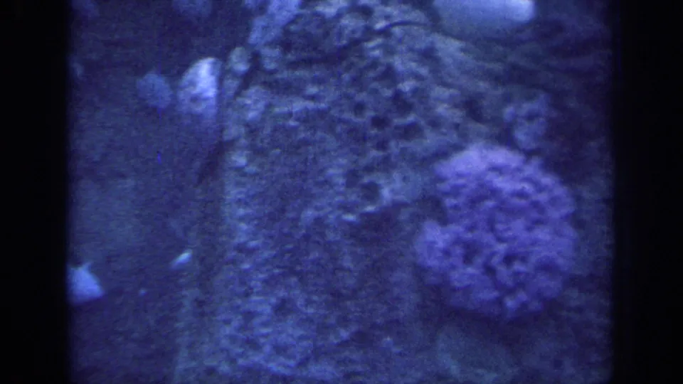 1967 8mm frame of blue-lit underwater rock or wreckage texture, with marine growth and a central dark divider.