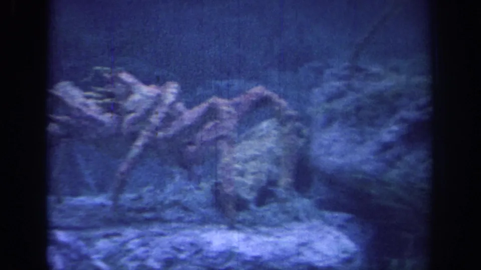 1967 8mm frame showing a crab-like animal beside rocky submerged forms in a dim blue underwater setting.