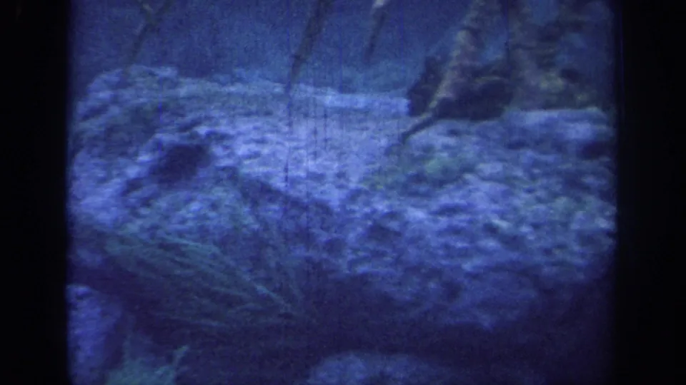 1967 8mm frame of a blue underwater view with rocky growth, small fish, and dark viewing-window framing.