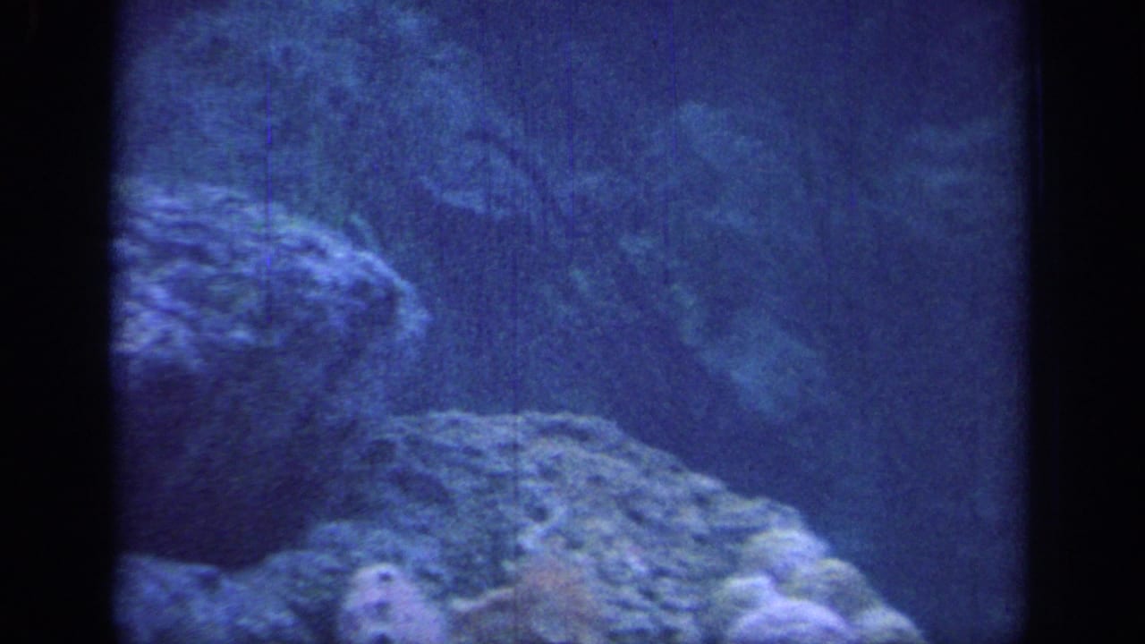 Blue-toned rocky slope and trees framed by dark film borders.