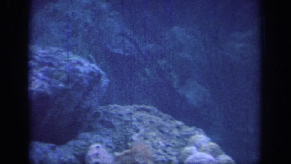A soft 8mm view of rocky terrain and trees in Oklahoma, tinted blue with visible grain, scratches, and dark frame edges.