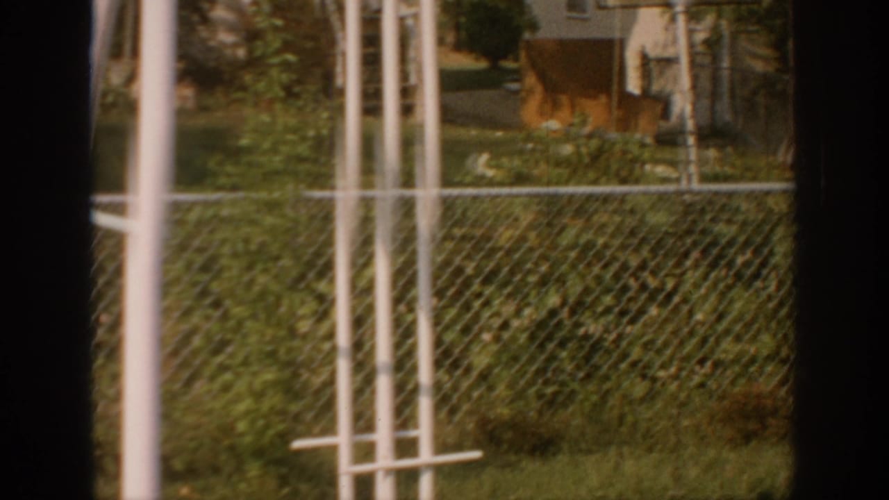 Chain-link fence, lawn, shrubs, and white poles seen through a dark window frame.