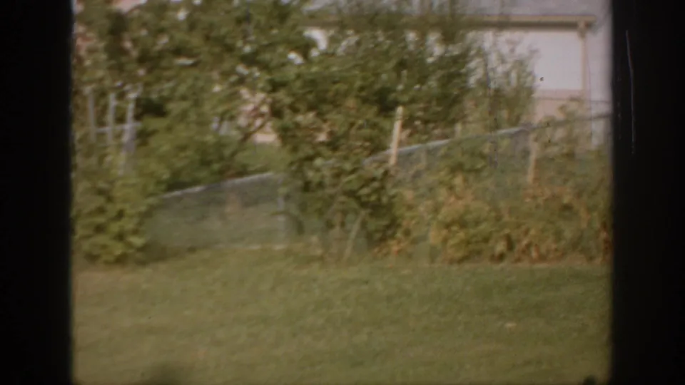 1967 Oklahoma residential yard view with green lawn, shrubs, a small tree, chain-link fence, and house exterior beyond.