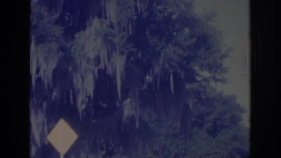 Faded 8mm frame showing roadside greenery, hanging moss, and a small sign, likely from the same Oklahoma home-movie reel.
