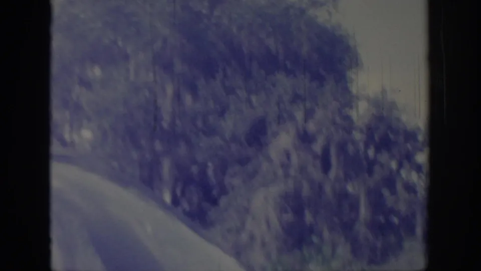 1967 Oklahoma countryside road curving through dense roadside trees, filmed from a moving vehicle on aged 8mm stock.