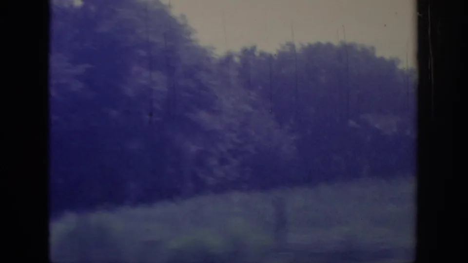 Shaky 1967 Oklahoma 8mm view of roadside trees and vegetation moving past the camera during a rural drive.