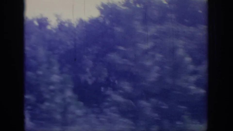 Blue-purple 8mm frame from 1967 Oklahoma showing leafy roadside brush passing close to a moving vehicle.