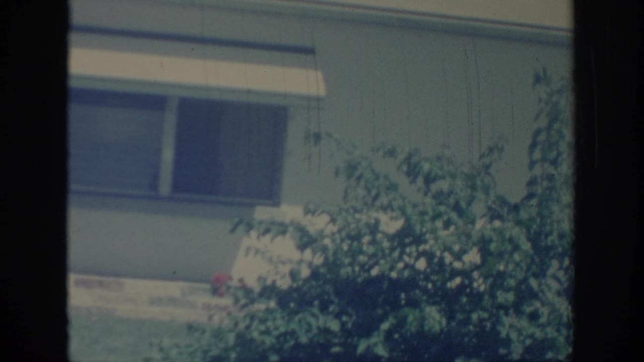 House window and awning partly obscured by a leafy bush.