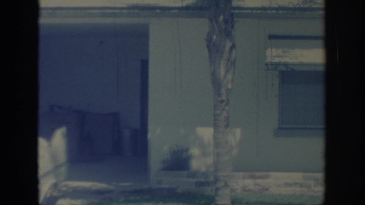 Covered garage area beside a house, with a palm tree trunk and shaded window visible.