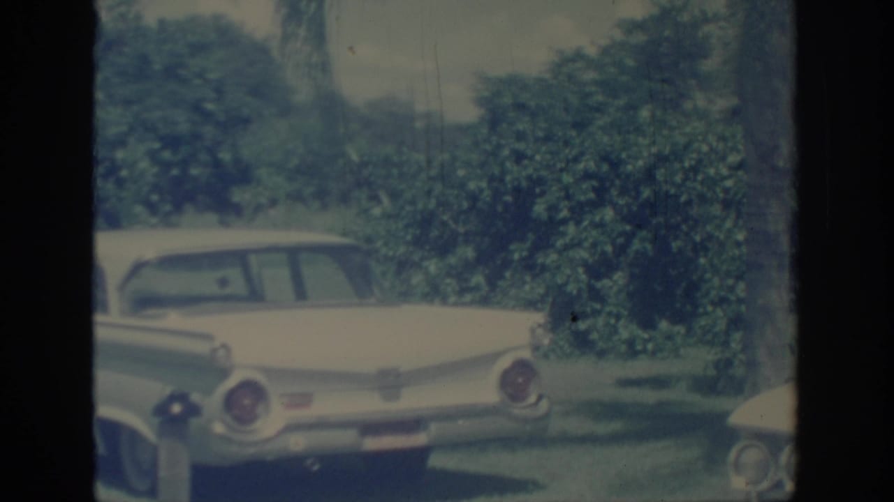 Rear view of a pale vintage sedan parked near trees and grass.