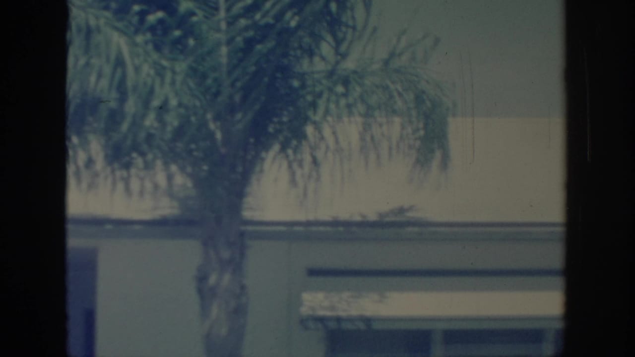1967 Oklahoma 8mm frame showing a palm trunk and fronds against a pale residential exterior with visible film borders.
