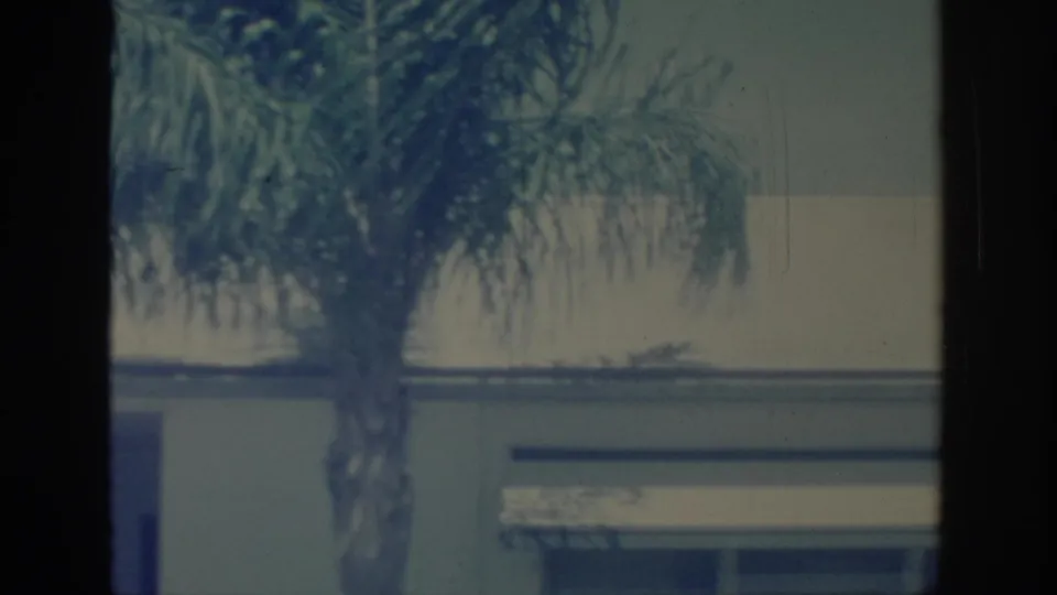 1967 Oklahoma 8mm frame showing a palm trunk and fronds against a pale residential exterior with visible film borders.
