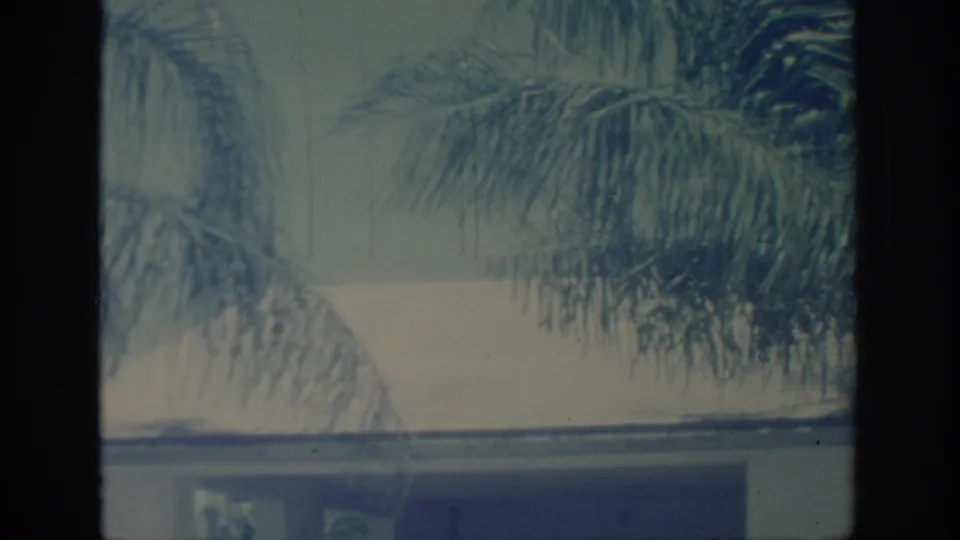 1967 Oklahoma 8mm frame showing backyard palm fronds across a pale house exterior with soft focus and film grain.