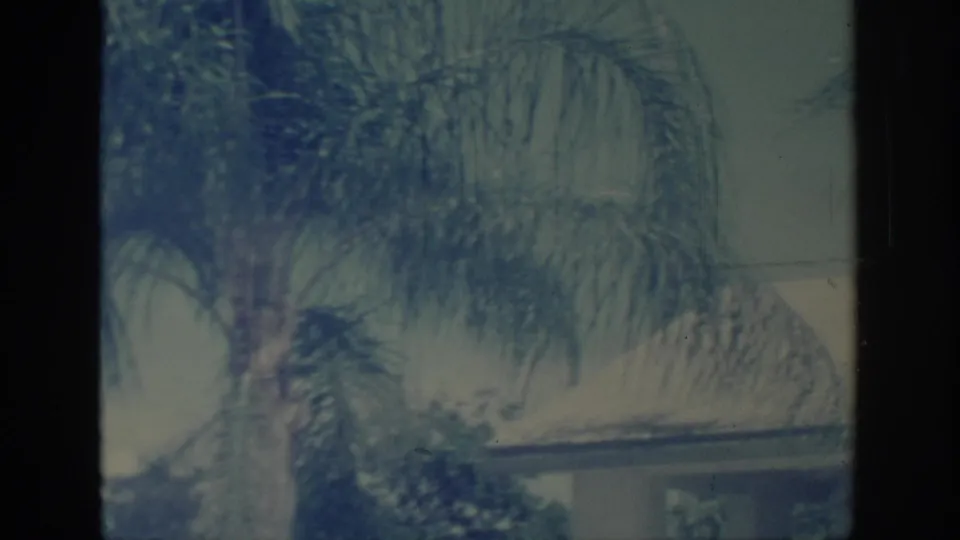 1967 Oklahoma home-movie frame with a palm tree in front of a pale residential exterior and visible 8mm film edges.