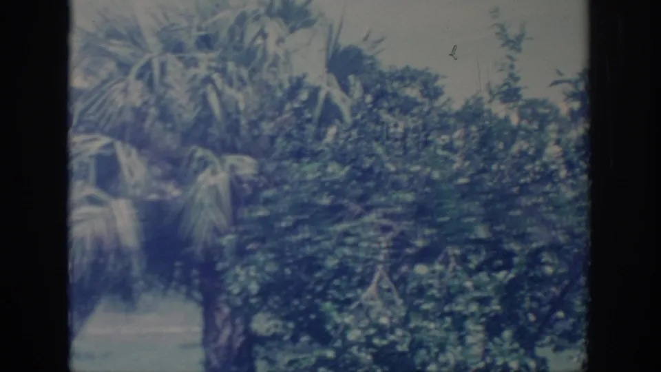 1967 Oklahoma home-movie frame with palm fronds, thick shrubs, and dark film edges, rendered with soft focus and grain.