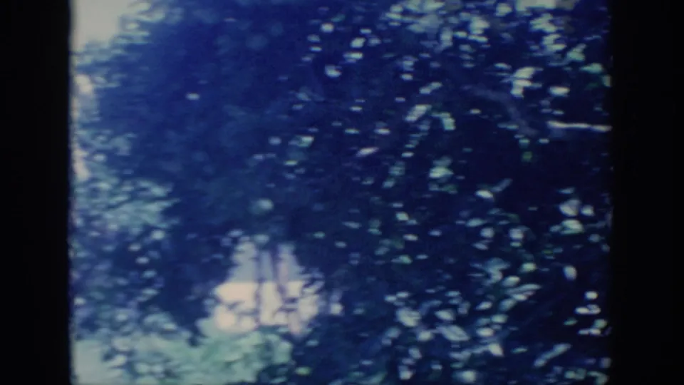 Blue-cast 8mm view of dense tree leaves and small patches of bright sky in an Oklahoma backyard setting.