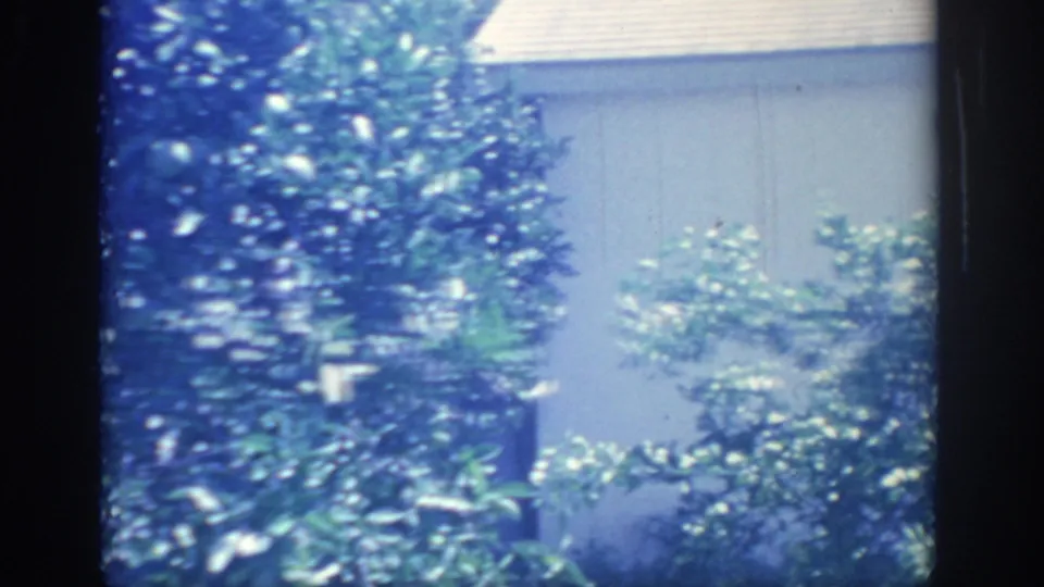 1967 Oklahoma backyard frame with leafy shrubs, a pale house wall, roof edge, and heavy blue 8mm color shift.