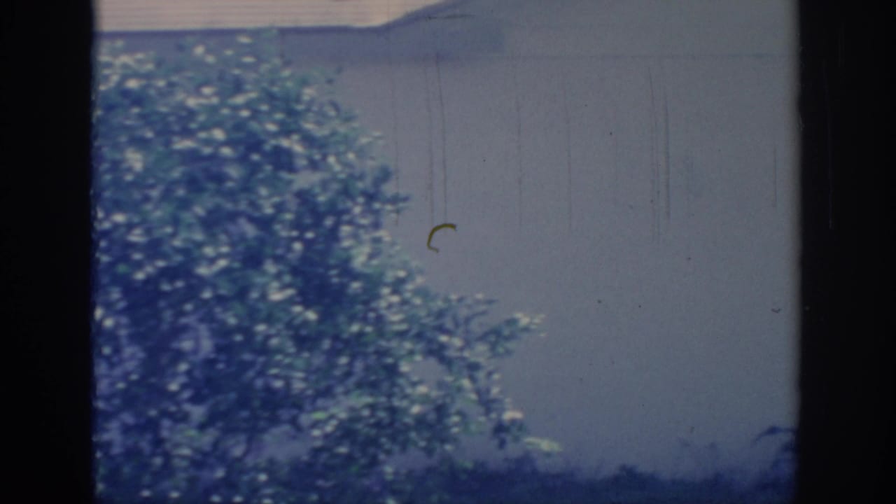 1967 Oklahoma home-movie frame showing sunlit trees, shrubbery, and a pale exterior wall with soft 8mm color fading.