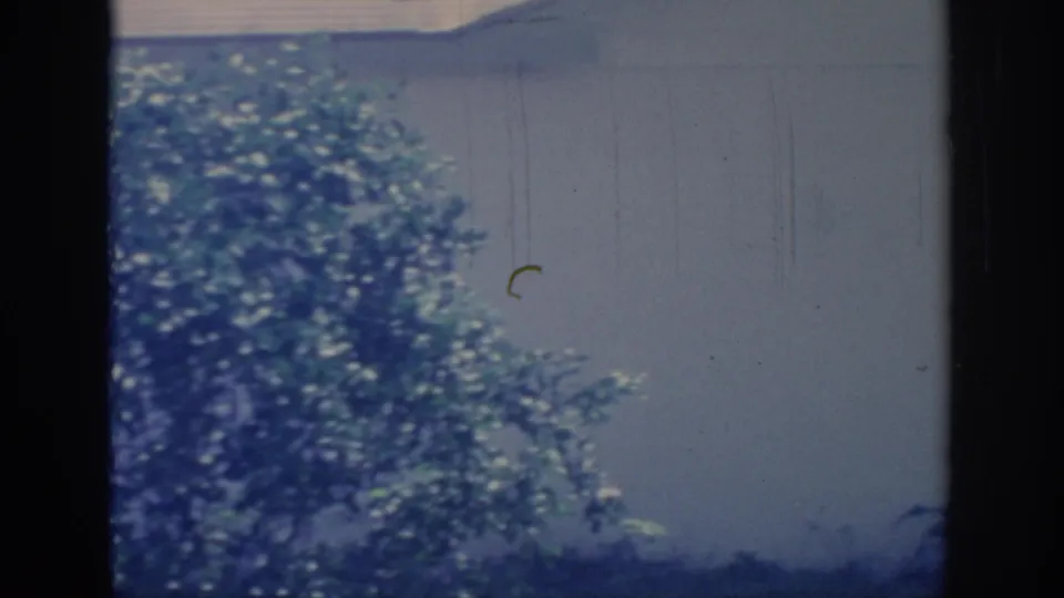 1967 Oklahoma home-movie frame showing sunlit trees, shrubbery, and a pale exterior wall with soft 8mm color fading.