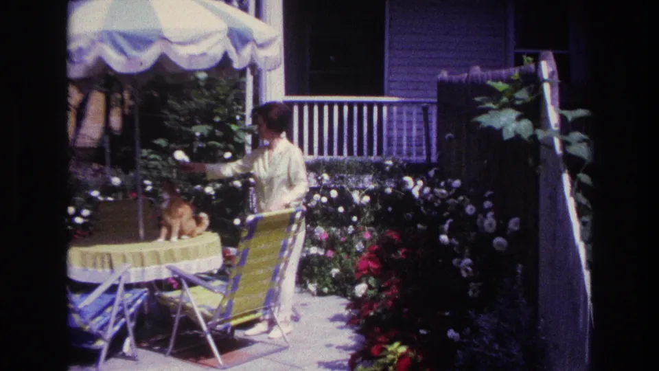 Rockaway Beach 1967 backyard scene with a woman bending toward a cat on the table, framed by chairs, umbrella fabric, flowers, and porch railing.