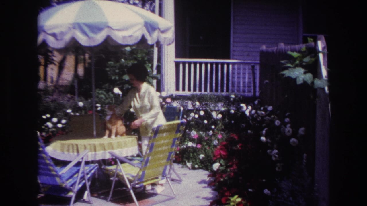 Older woman pets an orange-and-white cat on a patio table beside striped lawn chairs and flowers.