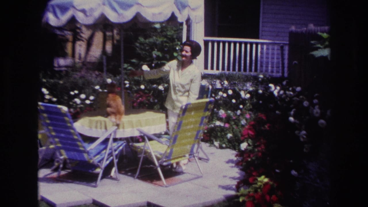 Woman stands near an orange cat on a patio table surrounded by striped chairs and flowers.