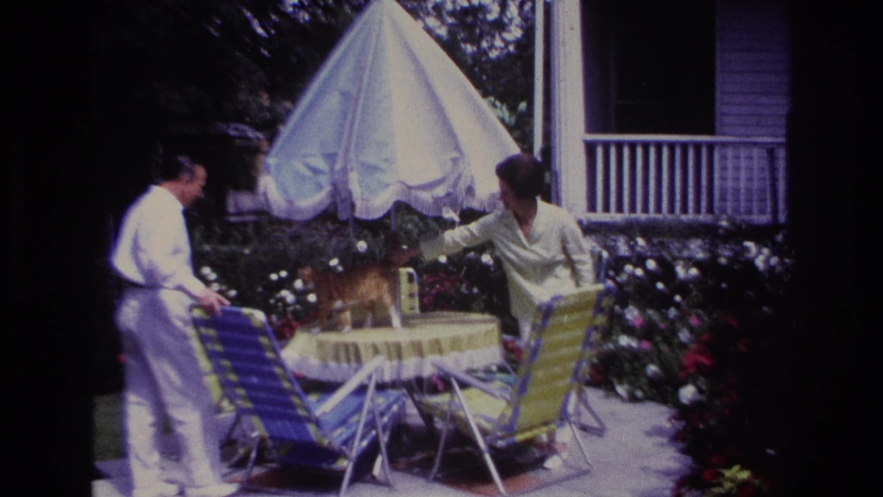A woman reaches toward a ginger cat on a yellow table as a man stands nearby.