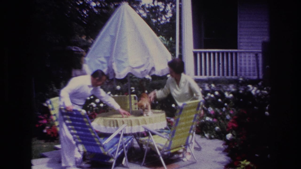 1967 Rockaway Beach backyard scene with a ginger cat on a covered patio table while two adults lean in.