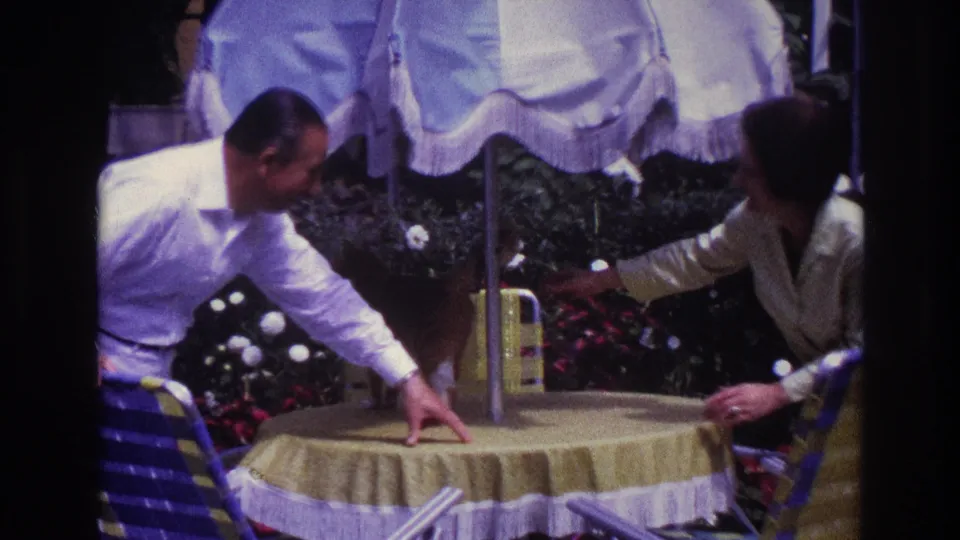 The couple gathers close to the tabby cat near the umbrella pole, with flowers and lawn chairs visible in the Rockaway Beach garden.
