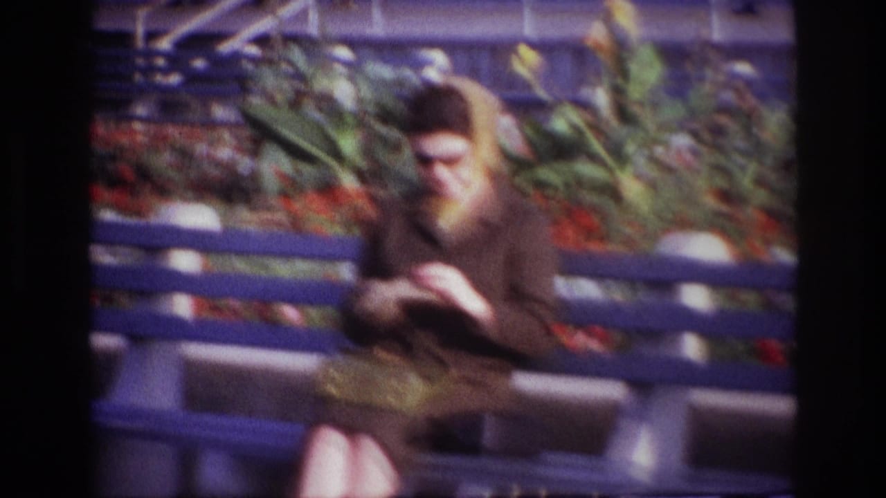 At Rockaway Beach in 1967, a woman in sunglasses sits on a blue bench beside flowers and greenery.
