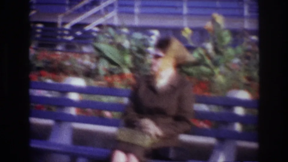 The final frame shows the woman turned slightly to the side on the blue bench, with soft 8mm blur and planted flowers behind her.
