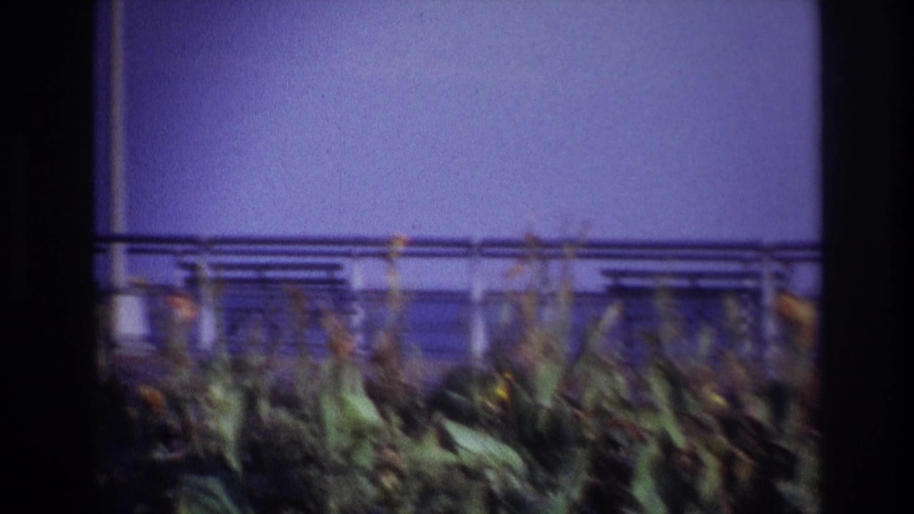 1967 Rockaway Beach home-movie frame showing blurred flower beds, leafy plants, a metal railing, and purple-blue sky.