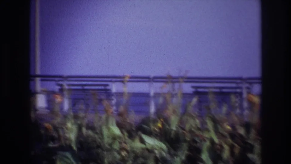 1967 Rockaway Beach home-movie frame showing blurred flower beds, leafy plants, a metal railing, and purple-blue sky.