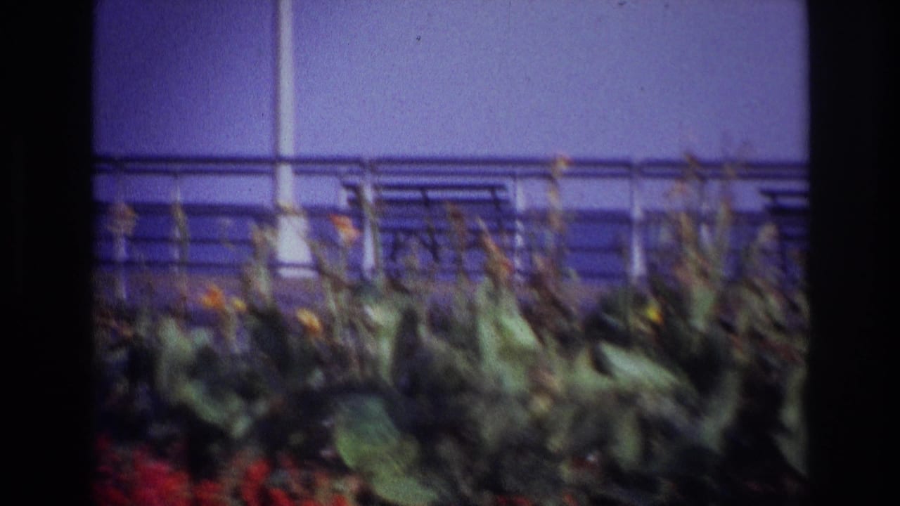Flowering plants and a metal railing appear in soft focus with dark film borders.