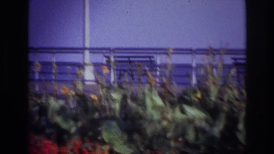 1967 Rockaway Beach footage frames dense flowers and foliage behind a railing, with visible 8mm softness and color shift.