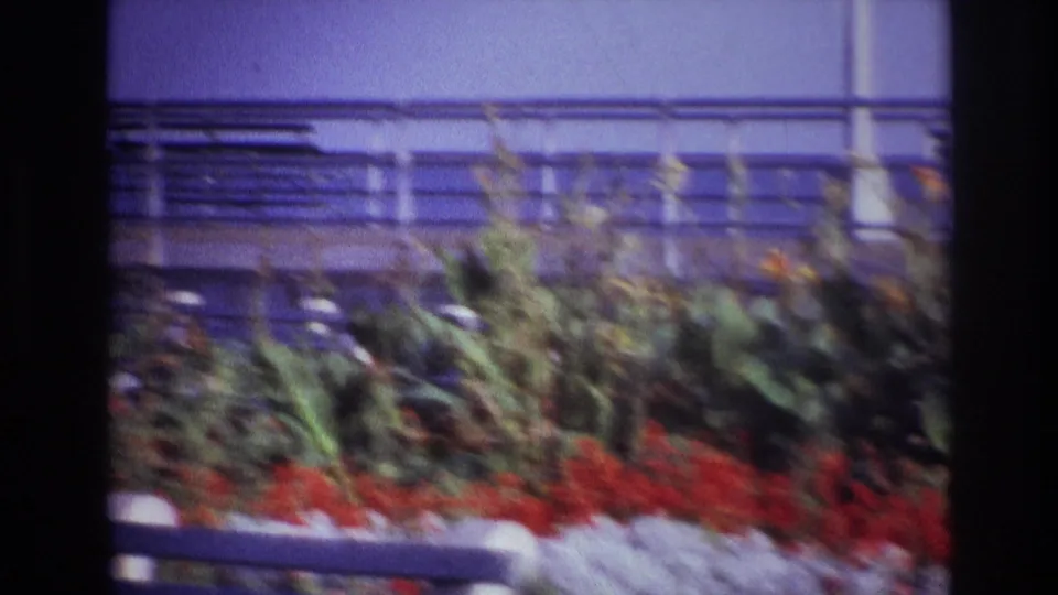 1967 Rockaway Beach home-movie still showing red and white flowers with leafy plants and a railing in the background.